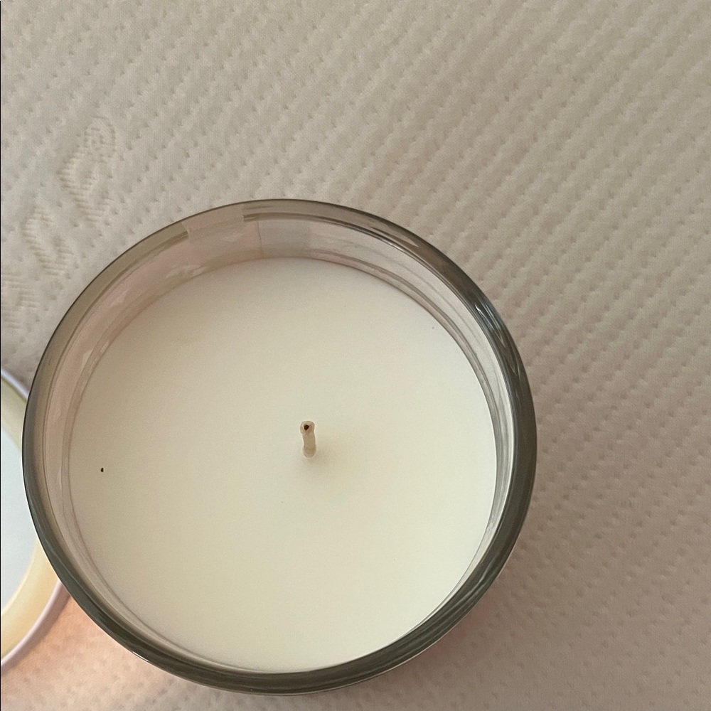 Sand + Paws Autumn Harvest Candle neutralizer for pet odor great for bathroom - Picture 3 of 6